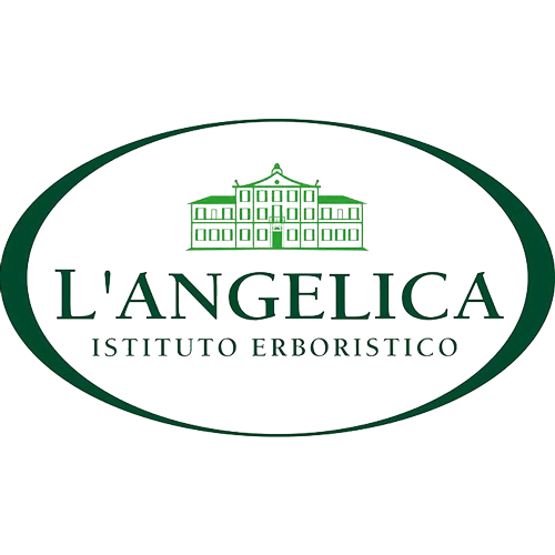 Logo L'Angelica