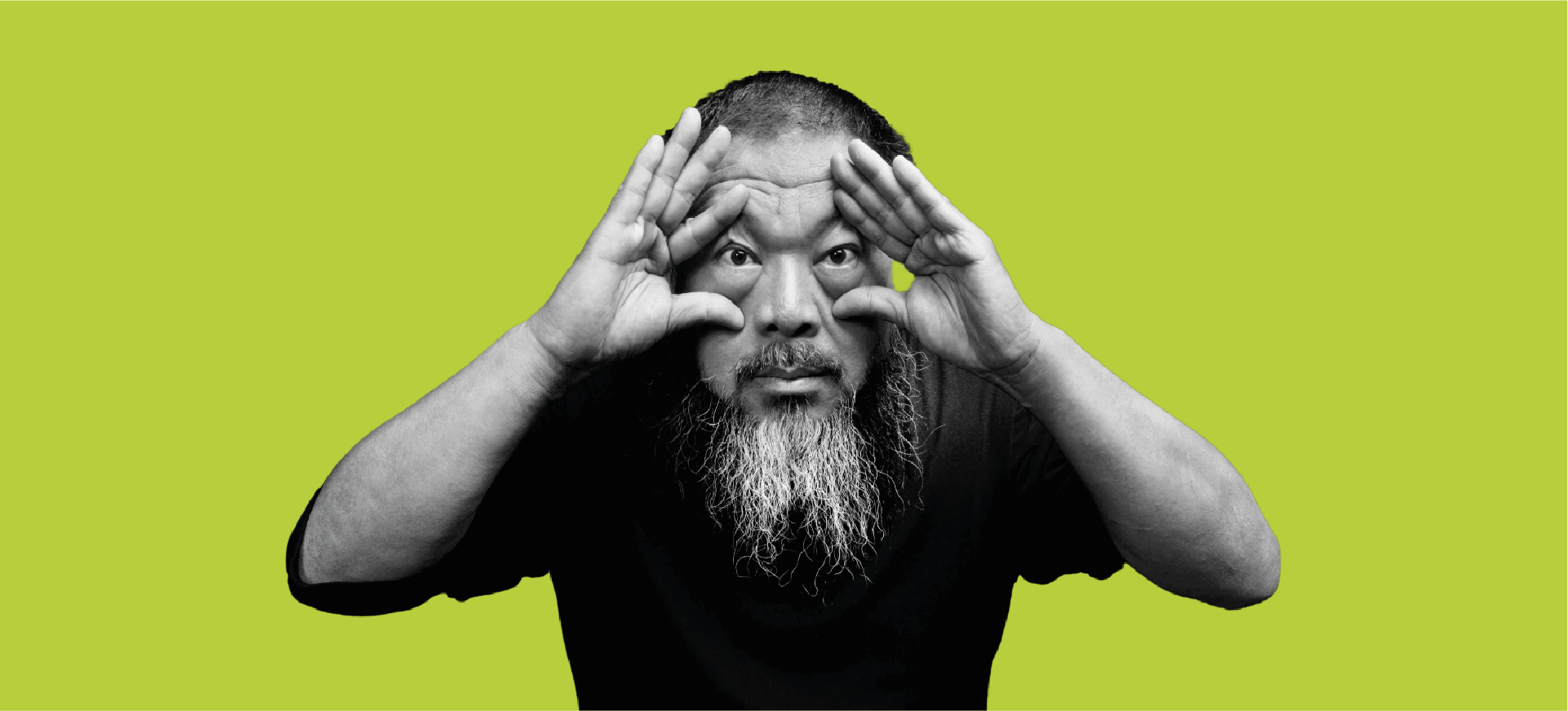 Ai Weiwei